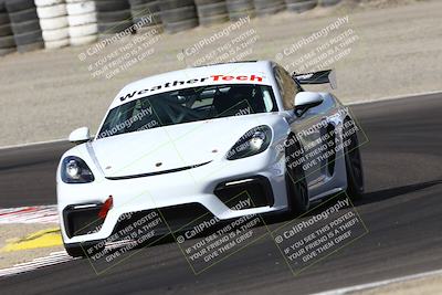 media/Aug-23-2024-Speed Ventures (Fri) [[92f1efc5e7]]/Green/Session 1 (Turn 3)/